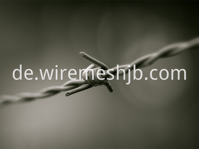 Barb Wire Fence